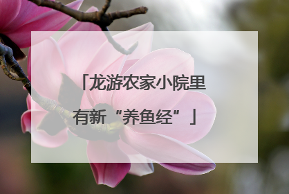 龙游农家小院里有新“养鱼经”