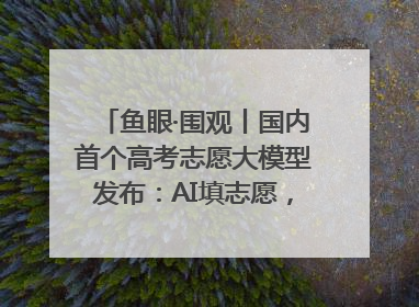 鱼眼·围观丨国内首个高考志愿大模型发布：AI填志愿，靠不靠谱？