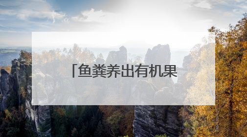 鱼粪养出有机果，光伏点亮振兴路——临港区草庙子镇零碳循环农业产业园投产在即