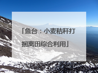 鱼台：小麦秸秆打捆离田综合利用
