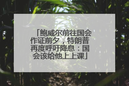 鲍威尔前往国会作证前夕，特朗普再度呼吁降息：国会该给他上上课