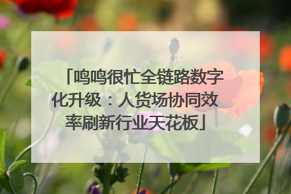 鸣鸣很忙全链路数字化升级：人货场协同效率刷新行业天花板