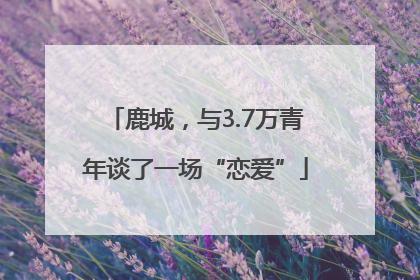 鹿城，与3.7万青年谈了一场“恋爱”