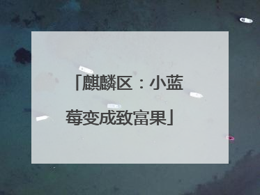 麒麟区：小蓝莓变成致富果