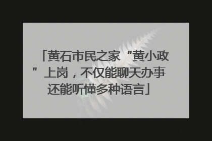 黄石市民之家“黄小政”上岗，不仅能聊天办事还能听懂多种语言
