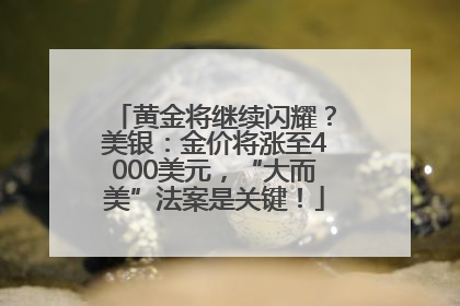 黄金将继续闪耀？美银：金价将涨至4000美元，“大而美”法案是关键！
