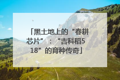 黑土地上的“春耕芯片”：“吉科稻518”的育种传奇