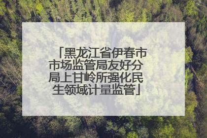 黑龙江省伊春市市场监管局友好分局上甘岭所强化民生领域计量监管