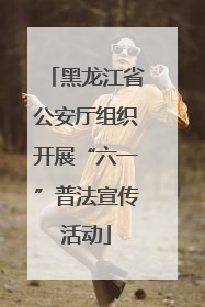 黑龙江省公安厅组织开展“六一”普法宣传活动