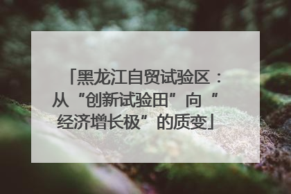 黑龙江自贸试验区：从“创新试验田”向“经济增长极”的质变