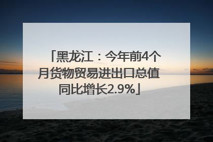 黑龙江：今年前4个月货物贸易进出口总值同比增长2.9%