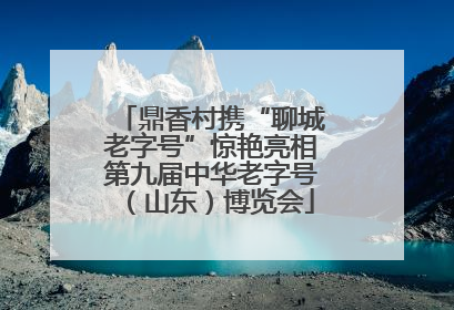 鼎香村携“聊城老字号”惊艳亮相第九届中华老字号（山东）博览会
