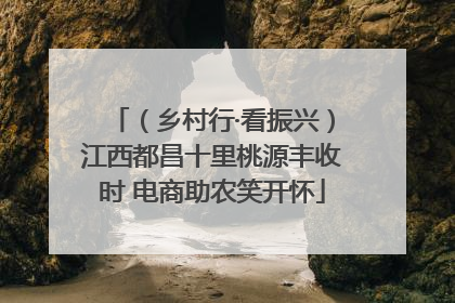 （乡村行·看振兴）江西都昌十里桃源丰收时 电商助农笑开怀