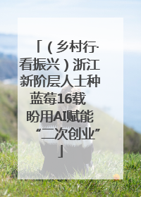 （乡村行·看振兴）浙江新阶层人士种蓝莓16载 盼用AI赋能“二次创业”