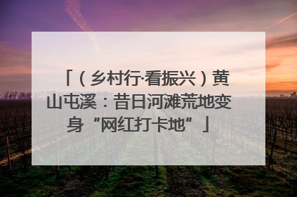（乡村行·看振兴）黄山屯溪：昔日河滩荒地变身“网红打卡地”