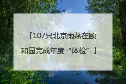 107只北京雨燕在颐和园完成年度“体检”