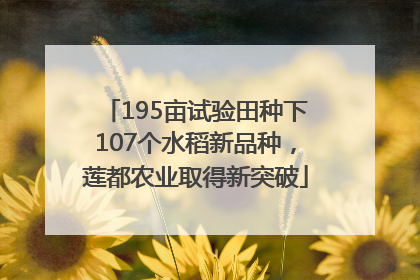 195亩试验田种下107个水稻新品种，莲都农业取得新突破