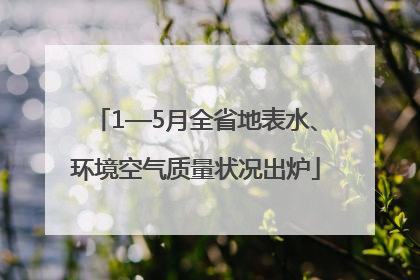 1—5月全省地表水、环境空气质量状况出炉