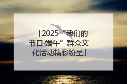 2025“我们的节日·端午”群众文化活动精彩纷呈