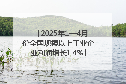 2025年1—4月份全国规模以上工业企业利润增长1.4%