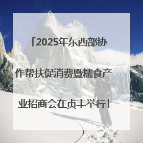 2025年东西部协作帮扶促消费暨糯食产业招商会在贞丰举行