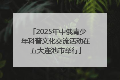 2025年中俄青少年科普文化交流活动在五大连池市举行