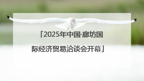 2025年中国·廊坊国际经济贸易洽谈会开幕