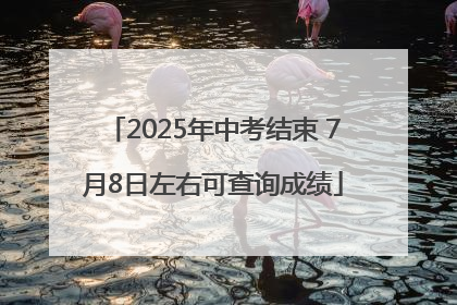 2025年中考结束 7月8日左右可查询成绩
