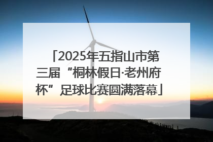 2025年五指山市第三届“桐林假日·老州府杯”足球比赛圆满落幕