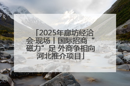 2025年廊坊经洽会·现场丨国际招商“磁力”足 外商争相向河北推介项目