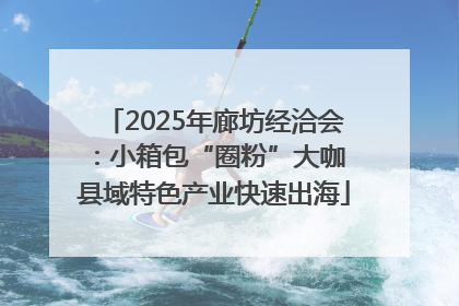 2025年廊坊经洽会：小箱包“圈粉”大咖 县域特色产业快速出海