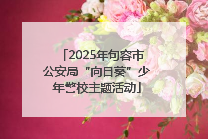 2025年句容市公安局“向日葵”少年警校主题活动