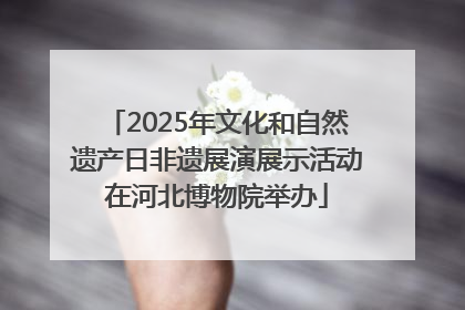 2025年文化和自然遗产日非遗展演展示活动在河北博物院举办
