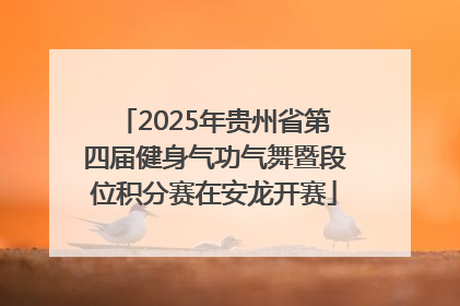 2025年贵州省第四届健身气功气舞暨段位积分赛在安龙开赛