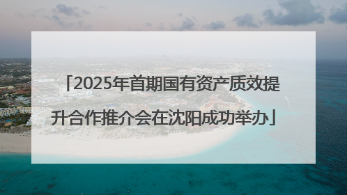 2025年首期国有资产质效提升合作推介会在沈阳成功举办