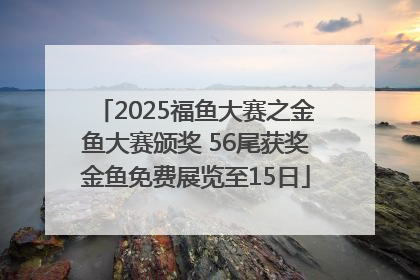 2025福鱼大赛之金鱼大赛颁奖 56尾获奖金鱼免费展览至15日