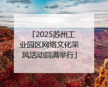 2025苏州工业园区网络文化采风活动圆满举行
