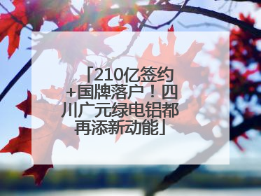 210亿签约+国牌落户！四川广元绿电铝都再添新动能