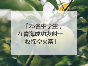 25名中学生，在青海成功发射一枚探空火箭