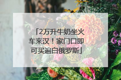 2万升牛奶坐火车来汉！家门口即可买遍白俄罗斯