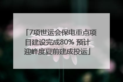 7项世运会保电重点项目建设完成80% 预计迎峰度夏前建成投运