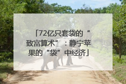 72亿只套袋的“致富算术”：静宁苹果的“袋”中经济