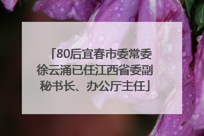 80后宜春市委常委徐云涌已任江西省委副秘书长、办公厅主任