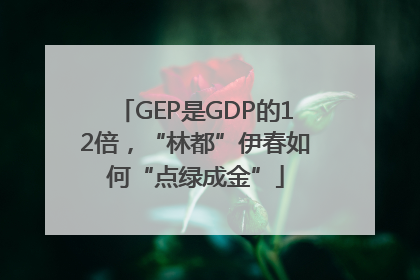 GEP是GDP的12倍，“林都”伊春如何“点绿成金”