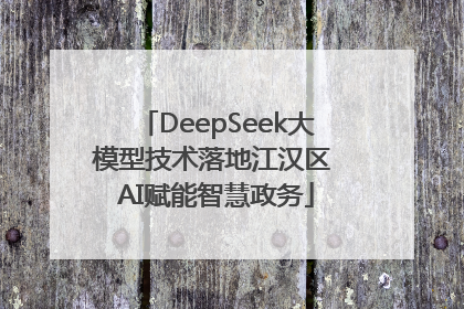 DeepSeek大模型技术落地江汉区 AI赋能智慧政务
