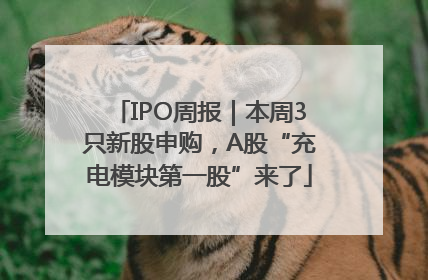 IPO周报｜本周3只新股申购，A股“充电模块第一股”来了