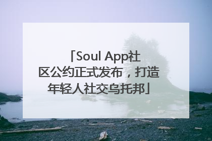 Soul App社区公约正式发布，打造年轻人社交乌托邦