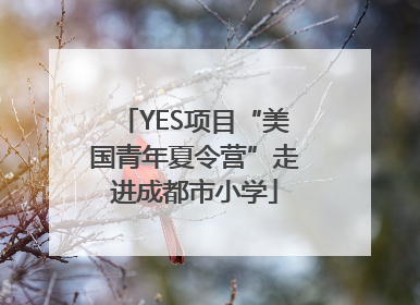 YES项目“美国青年夏令营”走进成都市小学