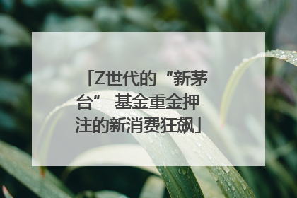 Z世代的“新茅台” 基金重金押注的新消费狂飙